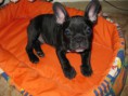 /album/fotogaleria/img-0759-2-jpg/
